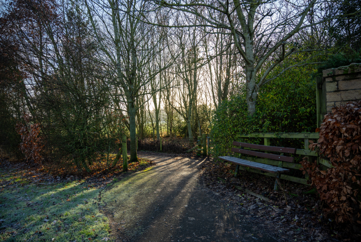 lauder_woodlandwalk